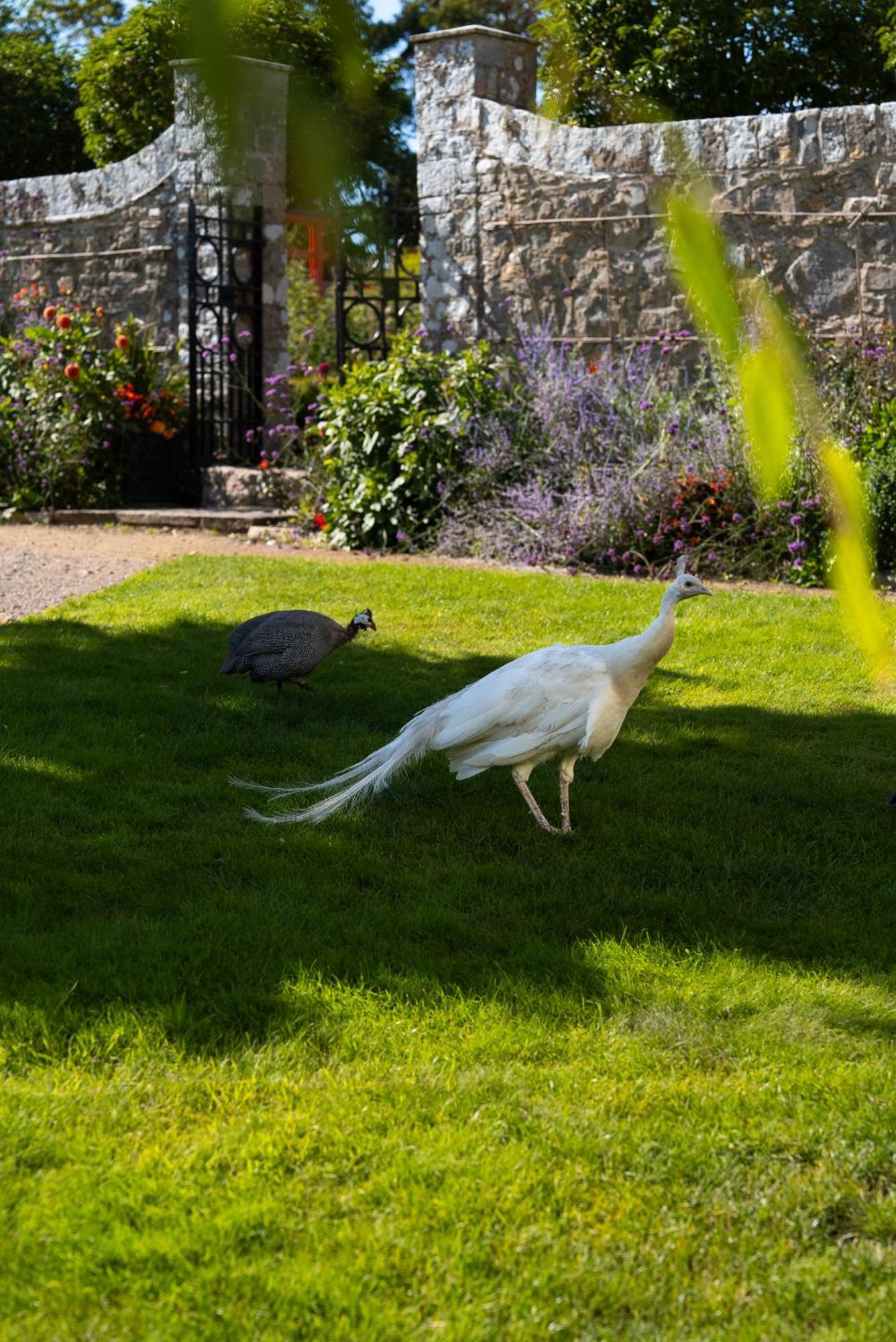 Gileston Manor Luxury B&B Barry Εξωτερικό φωτογραφία